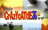 Crazy Cattle 3D